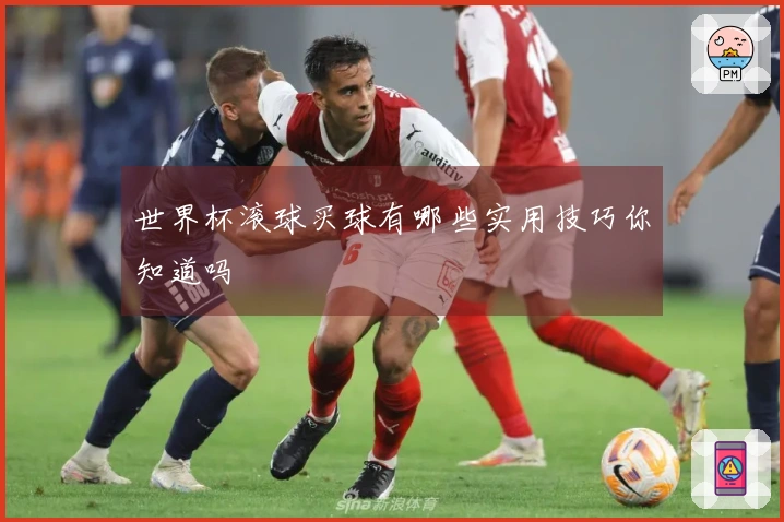 世界杯滚球买球有哪些实用技巧你知道吗