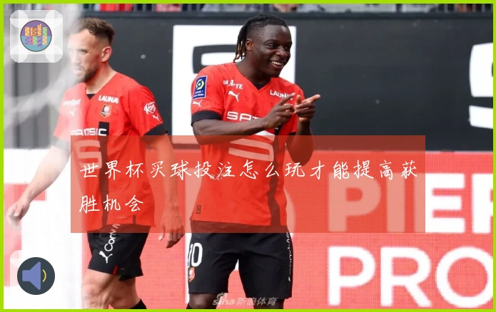 世界杯买球投注怎么玩才能提高获胜机会