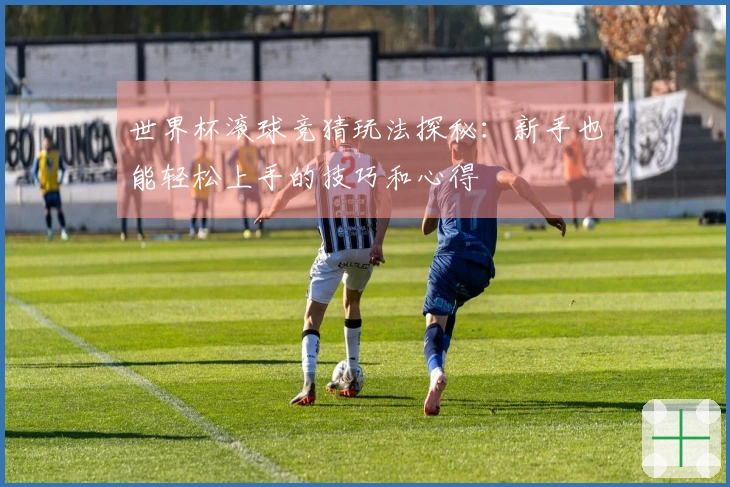 世界杯滚球竞猜玩法探秘：新手也能轻松上手的技巧和心得