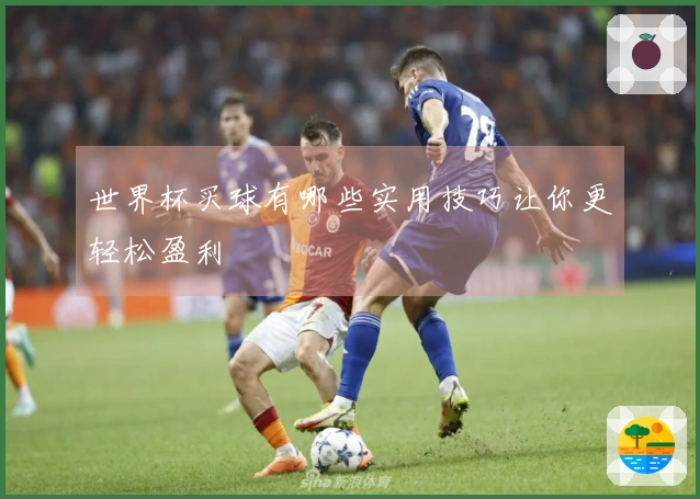 世界杯买球有哪些实用技巧让你更轻松盈利