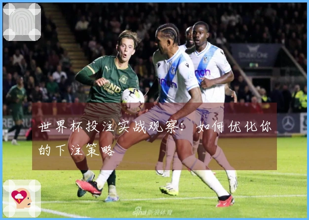 世界杯投注实战观察：如何优化你的下注策略
