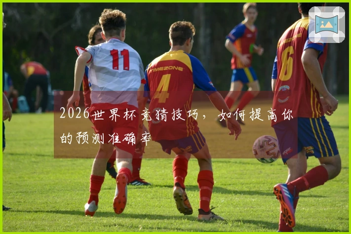 2026世界杯竞猜技巧，如何提高你的预测准确率