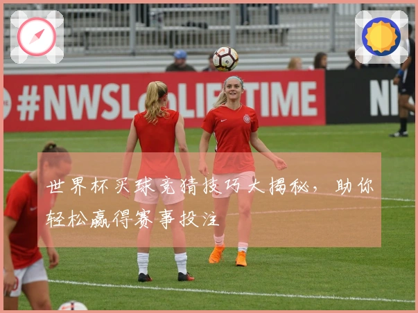 世界杯买球竞猜技巧大揭秘，助你轻松赢得赛事投注