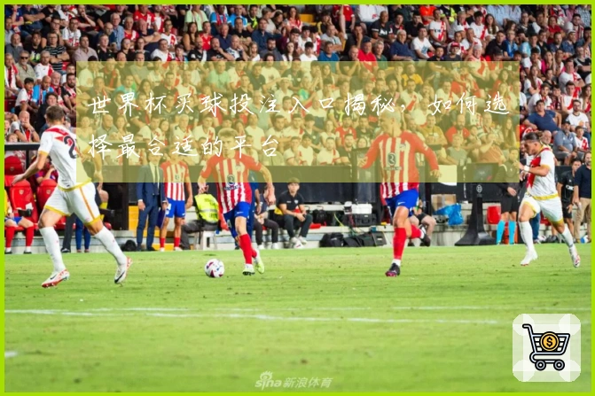 世界杯买球投注入口揭秘，如何选择最合适的平台