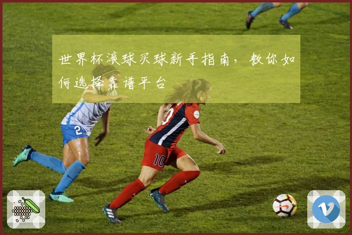 世界杯滚球买球新手指南，教你如何选择靠谱平台