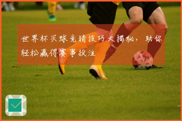 世界杯买球竞猜技巧大揭秘，助你轻松赢得赛事投注