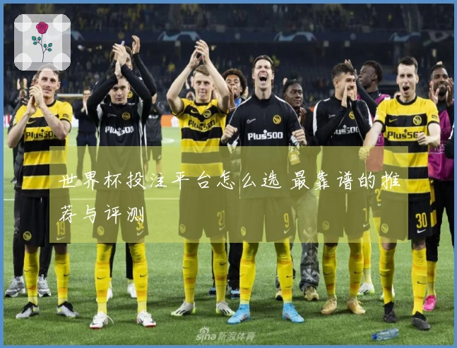 世界杯投注平台怎么选 最靠谱的推荐与评测