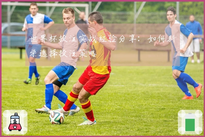 世界杯投注实战经验分享：如何科学选择投注策略
