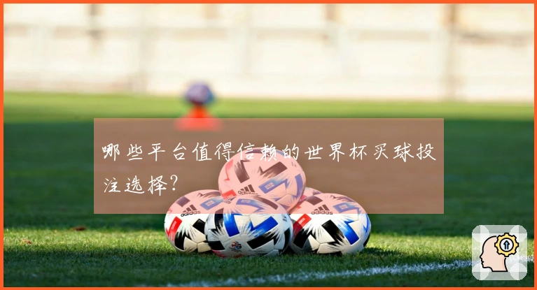 哪些平台值得信赖的世界杯买球投注选择？