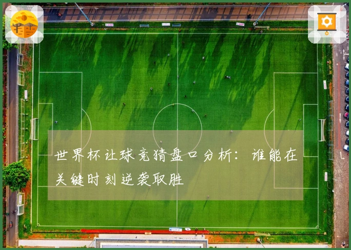 世界杯让球竞猜盘口分析：谁能在关键时刻逆袭取胜