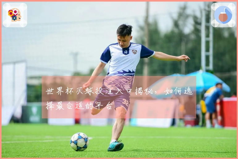 世界杯买球投注入口揭秘，如何选择最合适的平台