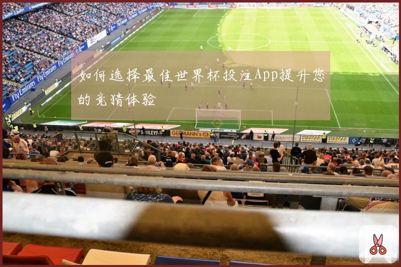 如何选择最佳世界杯投注App提升您的竞猜体验